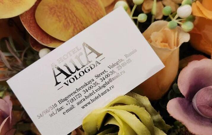 Александровский 3* (г.Череповец) / Аура 3* (г. Вологда)