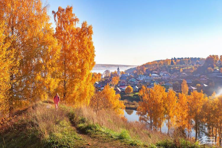 Автобус| В Ульяновск