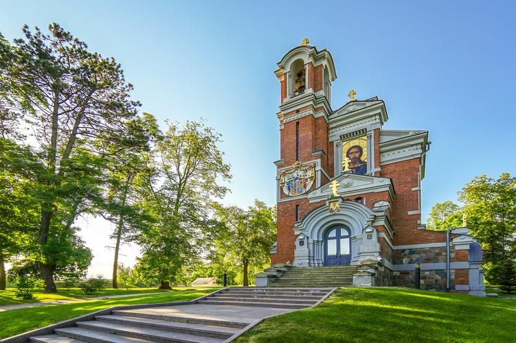 Лаванда в Беларуси: ароматы и краски лета