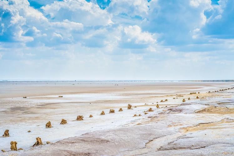 В краю цветущих лотосов: от Астрахани до Эльтона