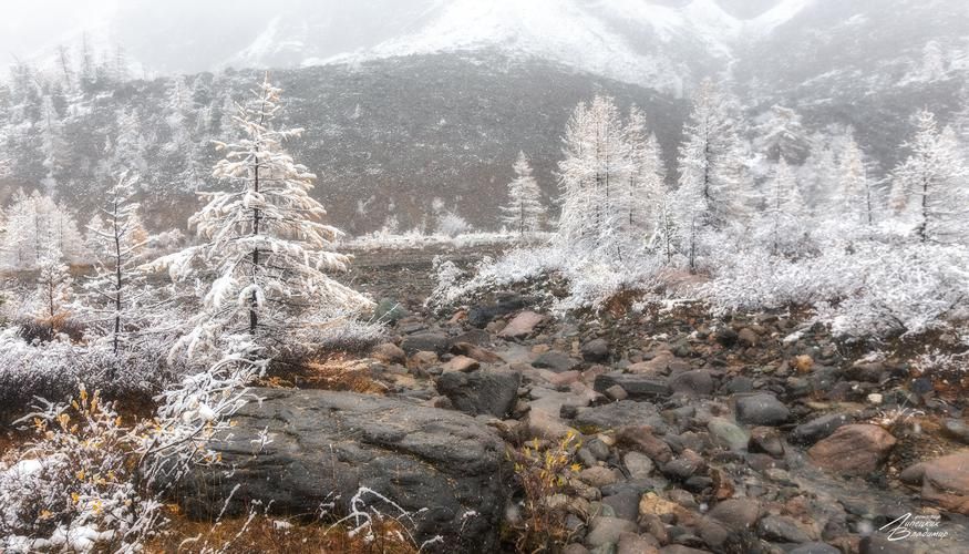 Омск — сердце Сибири, где культура живёт в каждом переулке
