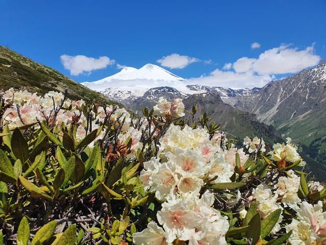 Встречи с чудесами Кавказа — где горы поют песни древних духов