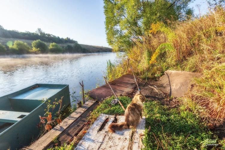 Мелодия реки: 5 дней на Среднем Битюге