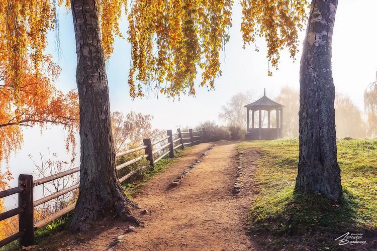 Автобус| В погоне за незабываемыми моментами