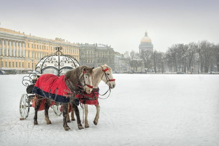 Петербургская земля, где Новый год начинается не в городе