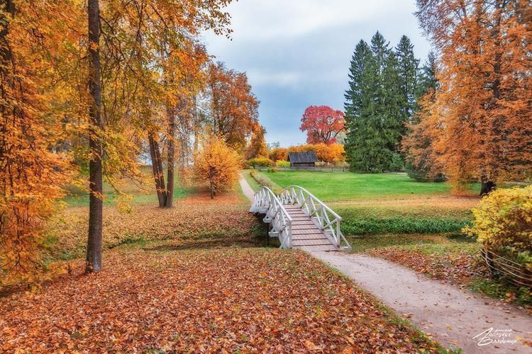 В гостях у тишины, что знает всё