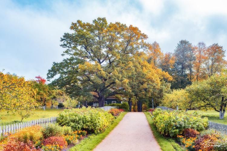 Легенды Псковских земель: крепости, монастыри и пещерные тайны