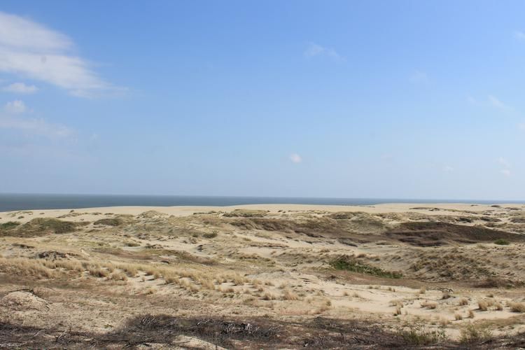 Каждый раз — как первый. Каждый раз — как последний  5 дней