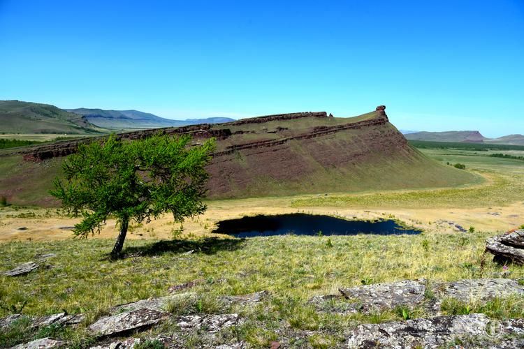 Первый шаг в дикую Россию