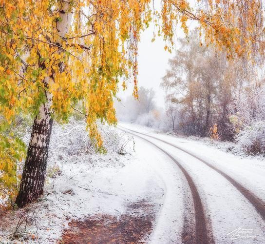 Новогодний калейдоскоп Черноземья (промо)