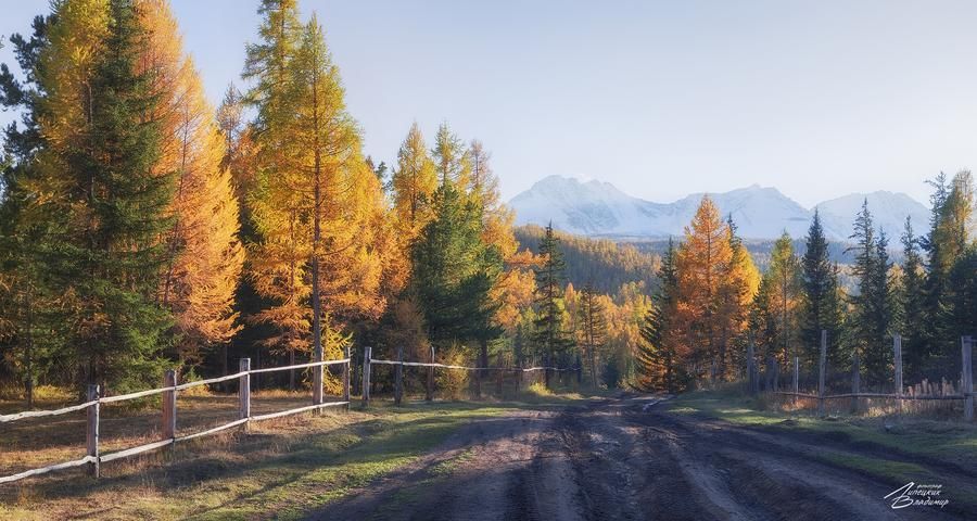 Джип‑рейд по дикому Алтаю