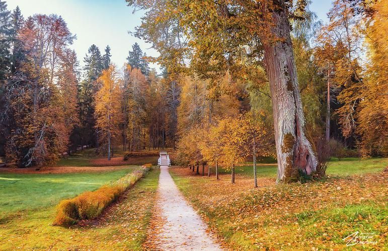 В гостях у Лермонтова (промо)