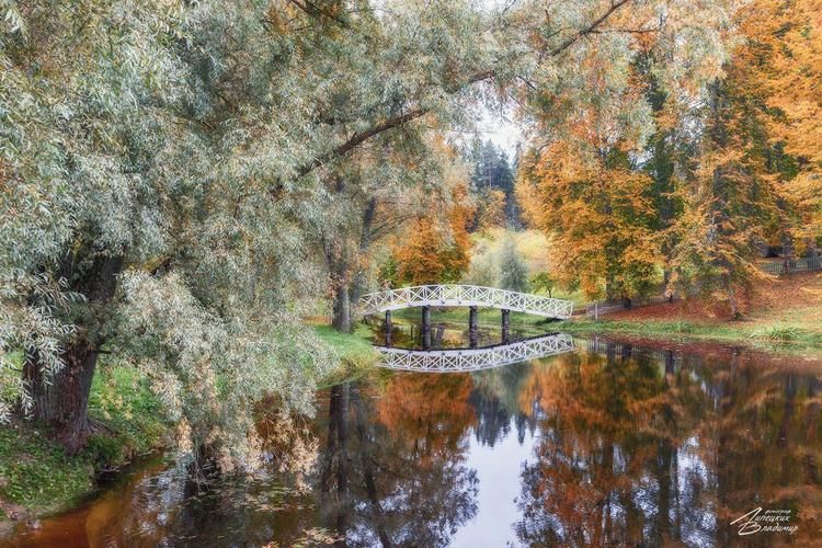 Автобус| Пушкинские горы: путешествие в мир поэзии и красоты