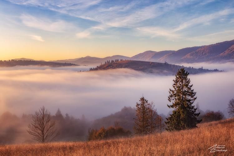 Следами караванов под новогодними огнями