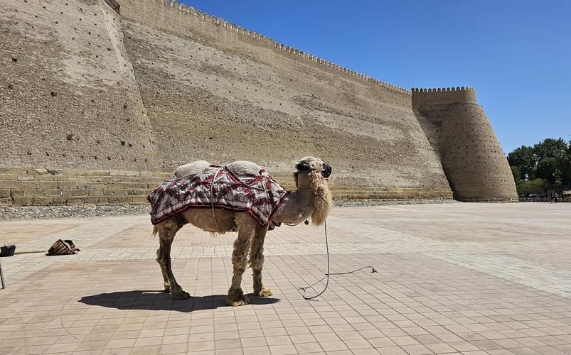 Где Восток говорил на согдийском
