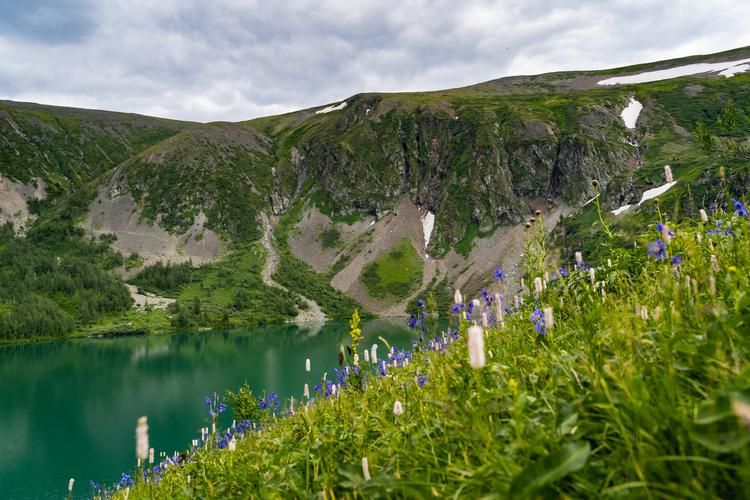 Териберка, где ветер рисует узоры на снегу