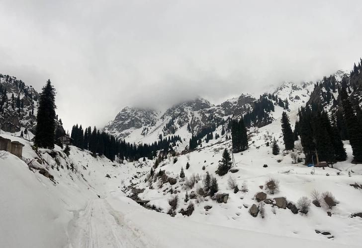 Новогоднее утро на Земле Леопарда: в гостях у природы, традиций и уюта