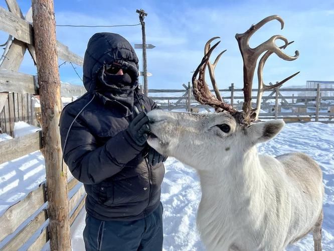 От Мурманска до сейдов, от оленей до океана